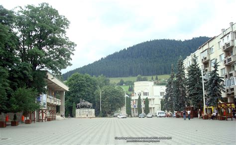 locuri de munca campulung moldovenesc|Locuri de munca in Campulung Moldovenesc